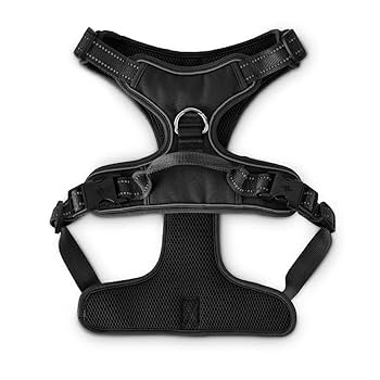 Amazon.com : EveryYay Front Walking Reflective Dog Harness